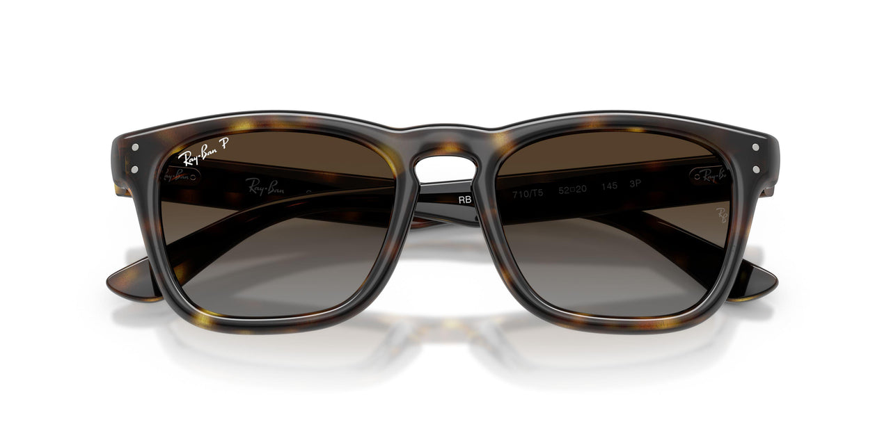 710/T5 - Tortoise - Polarized Light Grey Gradient Brow