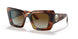 3316T5 - Havana - Polar Brown Gradient