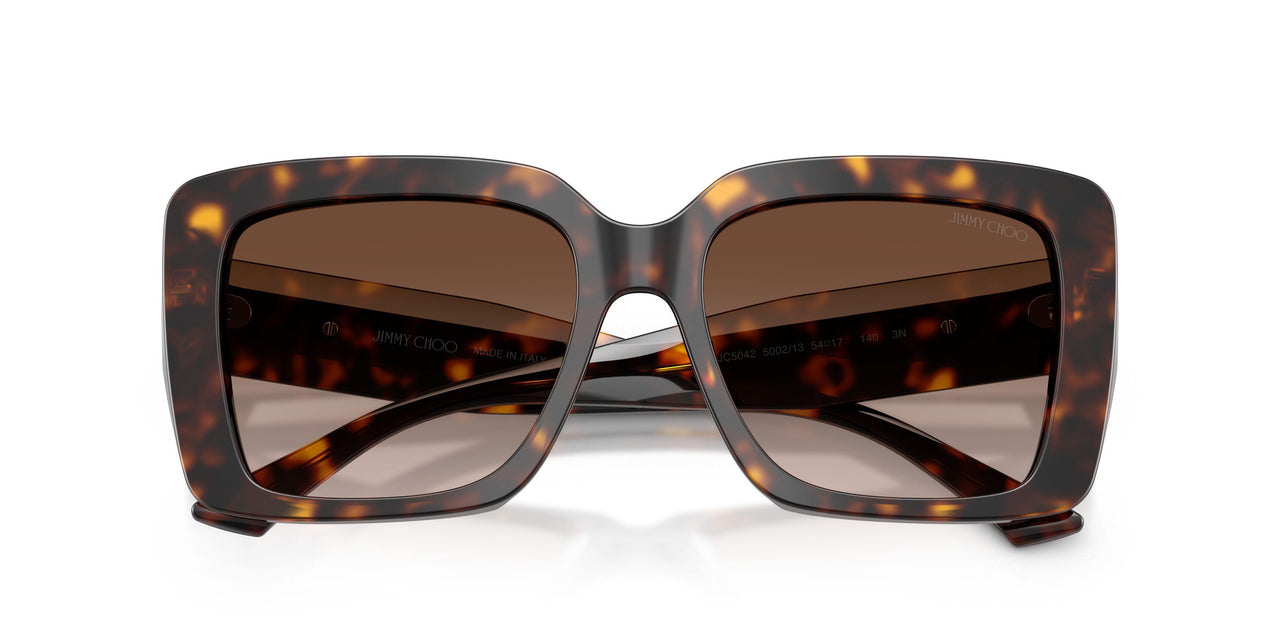 500213 - Tortoise - Brown Gradient