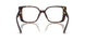 5002 - Tortoise