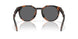 924218 - Tortoise - Prizm Black