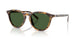 633971 - Tortoise - Bottle Green