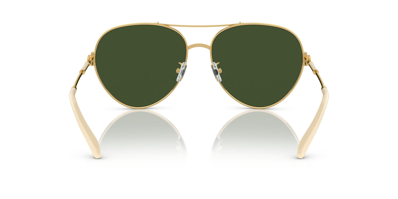 335171 - Gold - Dark Green Solid
