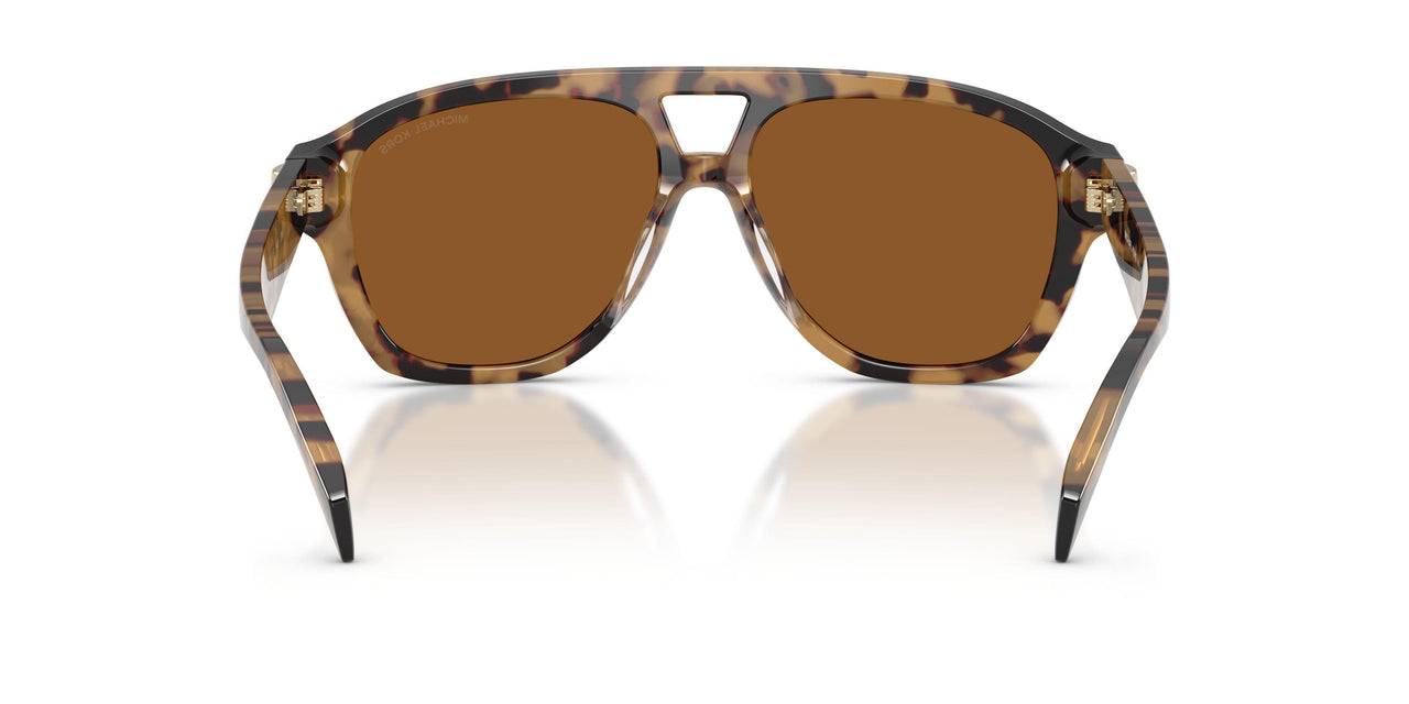 393073 - Tortoise - Amber