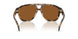393073 - Tortoise - Amber