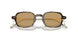 620773 - Tortoise - Brown