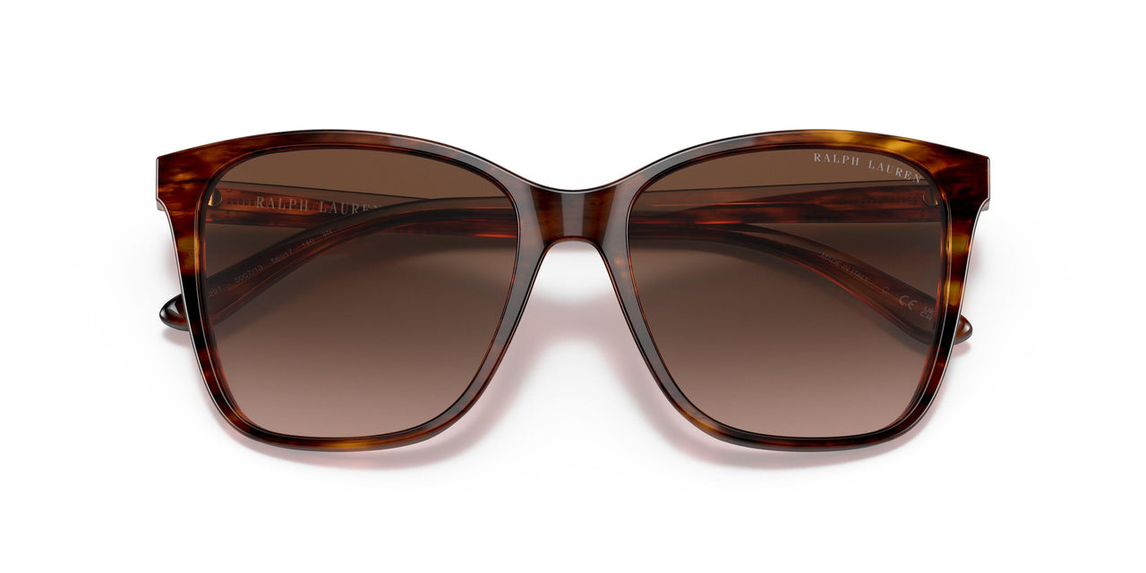 500713 - Havana - Gradient Brown