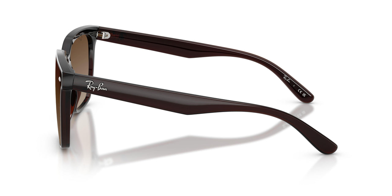 714/13 - Brown - Brown Gradient