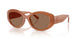 624473 - Orange - Brown