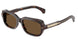 Moncler Suntrap 6008 Sunglasses