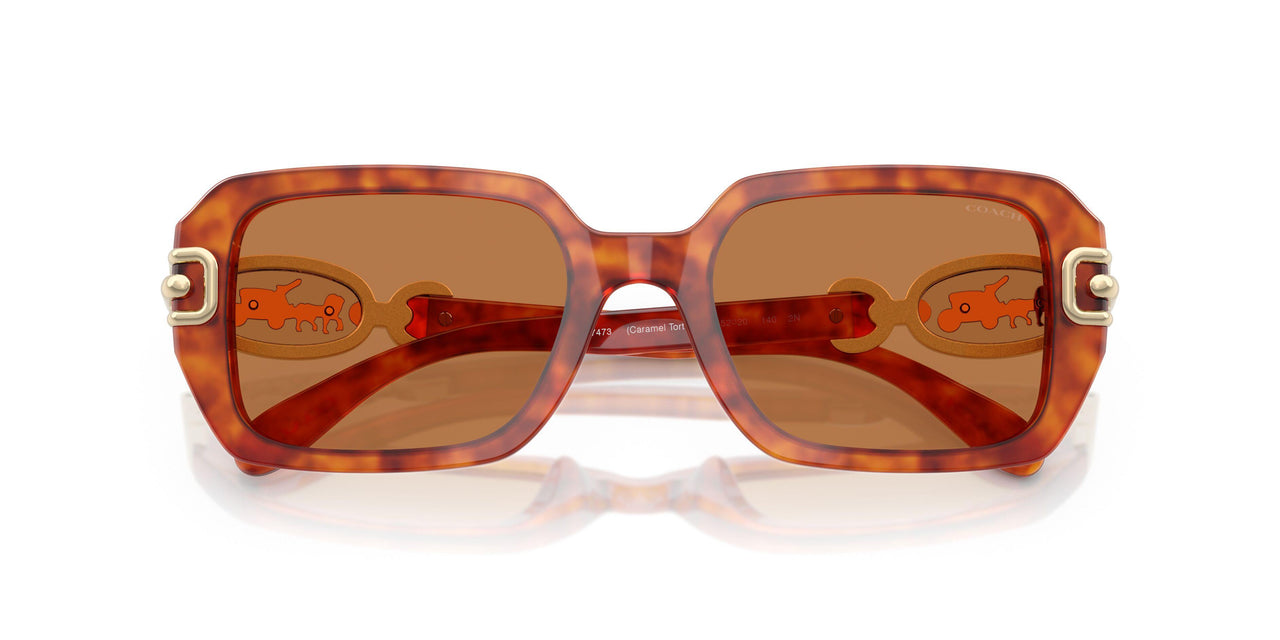 577473 - Tortoise - Amber Solid