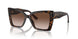 500213 - Tortoise - Gradient Brown