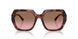 318014 - Tortoise - Pink Gradient Brown