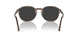 120848 - Tortoise - Polar Black Grey