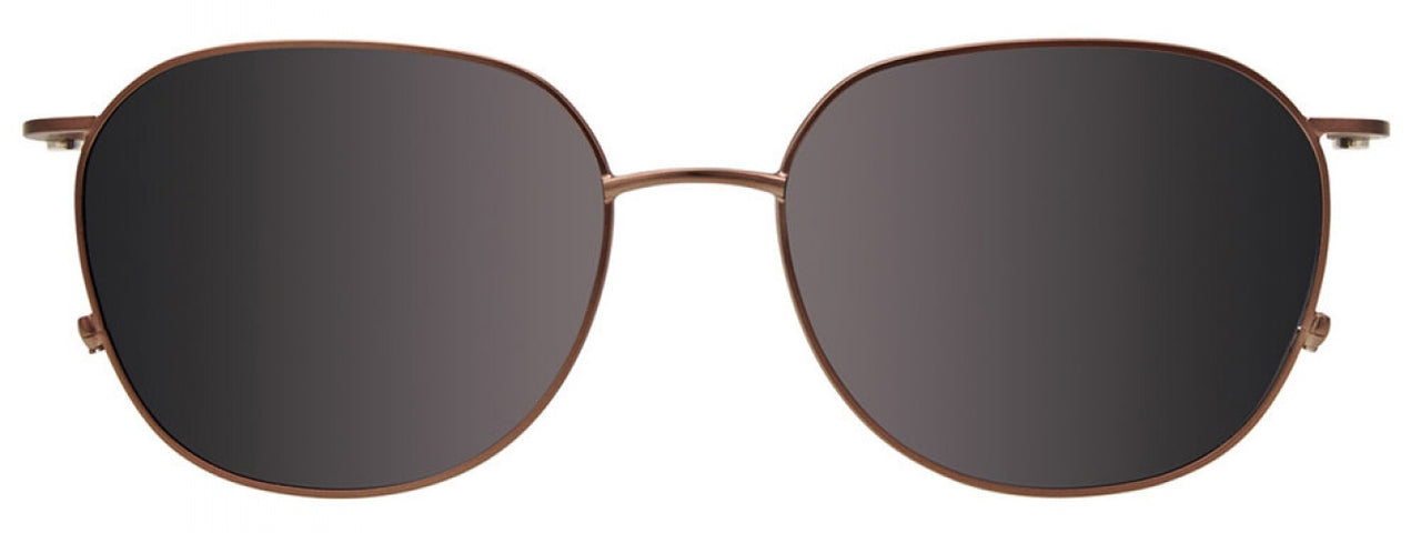 10 - Matt Light Brown & Shiny Silver / Matt Light Brown