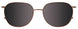 10 - Matt Light Brown & Shiny Silver / Matt Light Brown