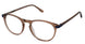 New Balance 567 Eyeglasses