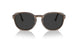 120848 - Tortoise - Polar Black Grey