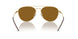 925083 - Gold - Dark Brown Polar