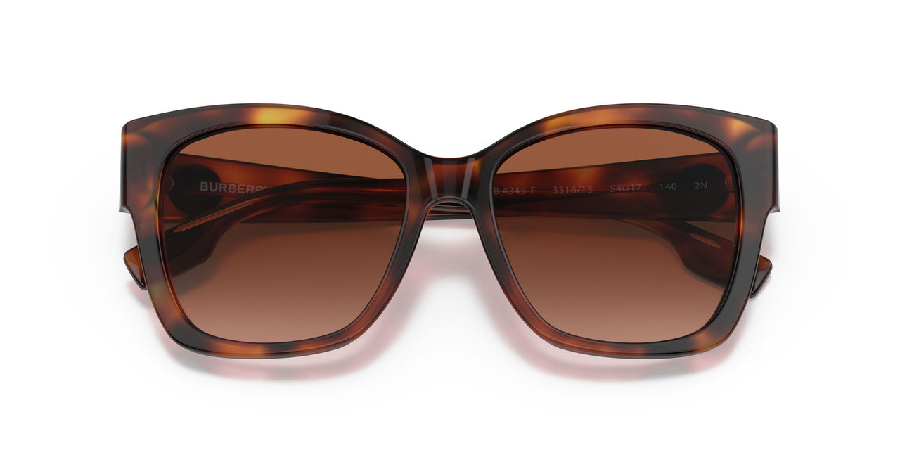 331613 - Havana - Brown Gradient