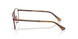 1124 - Brown