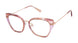 RACHEL Roy Terrific Eyeglasses