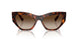W65613 - Brown - Gradient Dark Brown