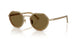 630073 - Tortoise - Dark Brown