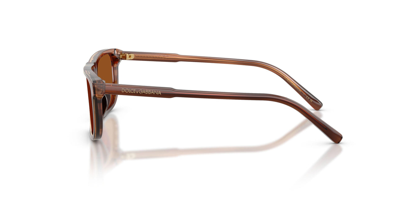 348173 - Brown - Dark Brown