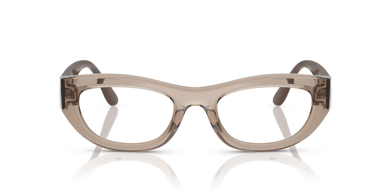 3181 - Brown
