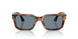 123556 - Brown - Light Blue