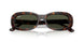 902/31 - Tortoise - Green