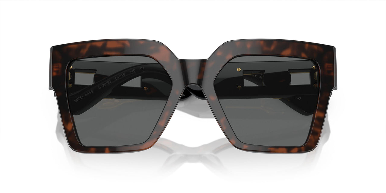 542987 - Tortoise - Dark Grey