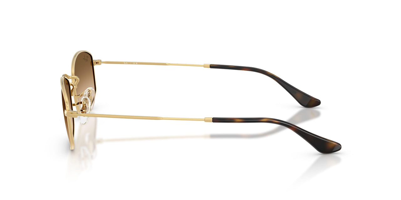 001/51 - Gold - Clear Gradient Brown