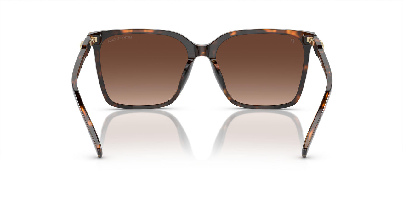 3006T5 - Tortoise - Brown Gradient Polar