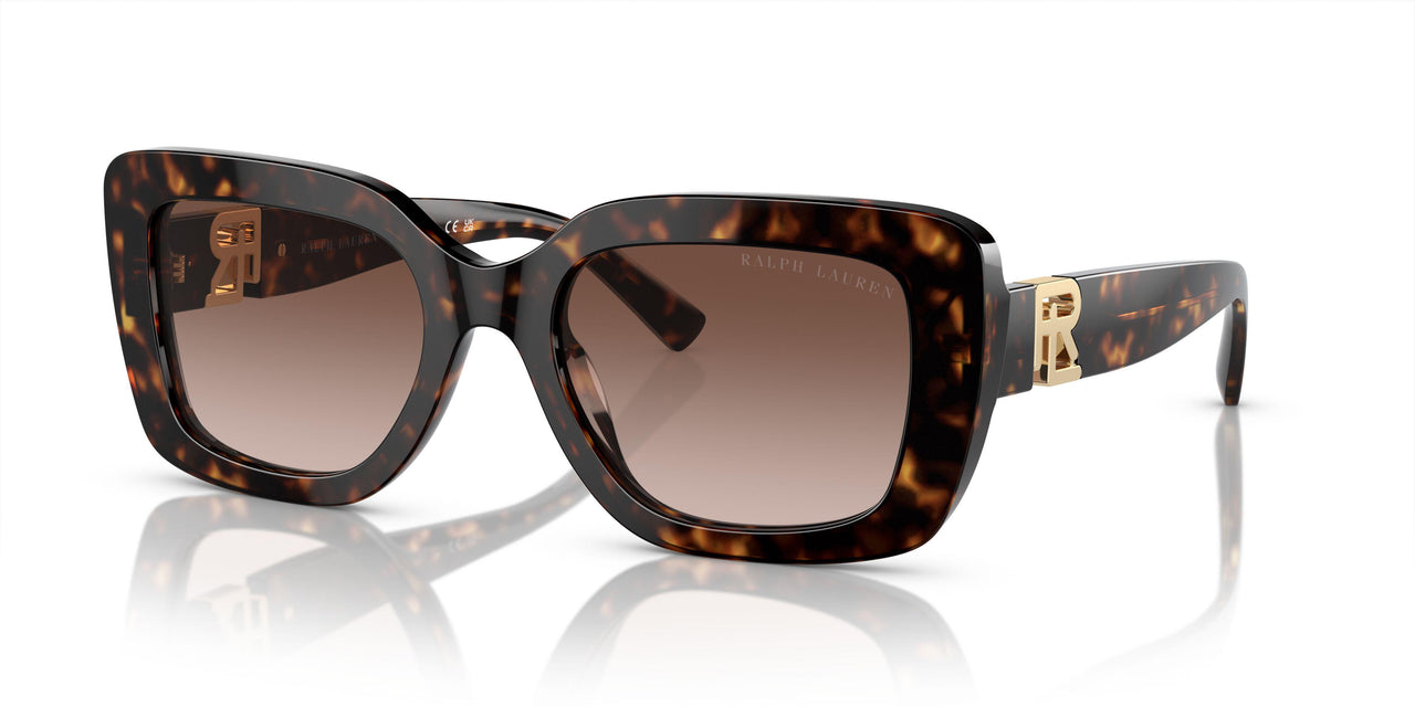 500313 - Tortoise - Gradient Brown