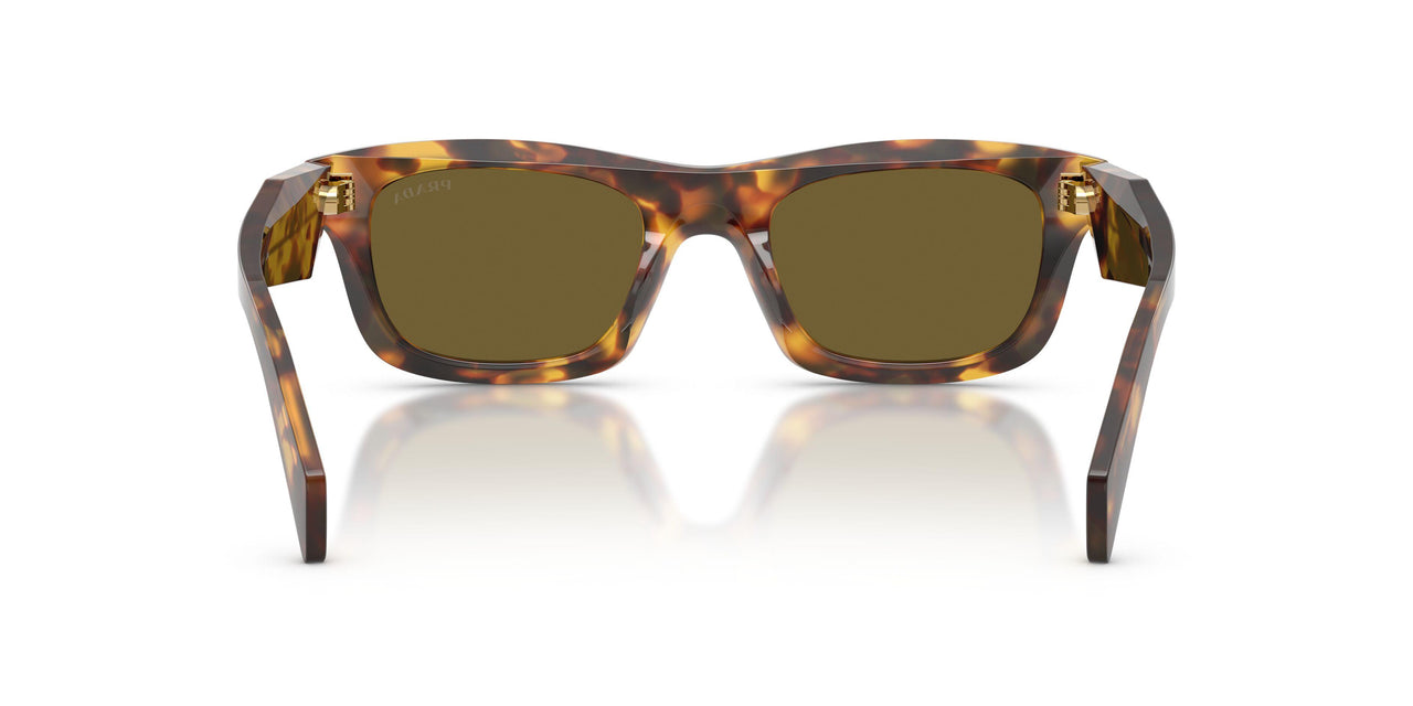 14L09Z - Tortoise - Dark Brown