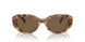 104073 - Tortoise - Dark Brown