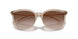 836613 - Brown - Gradient Brown