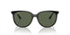 601/71 - Black - Dark Green