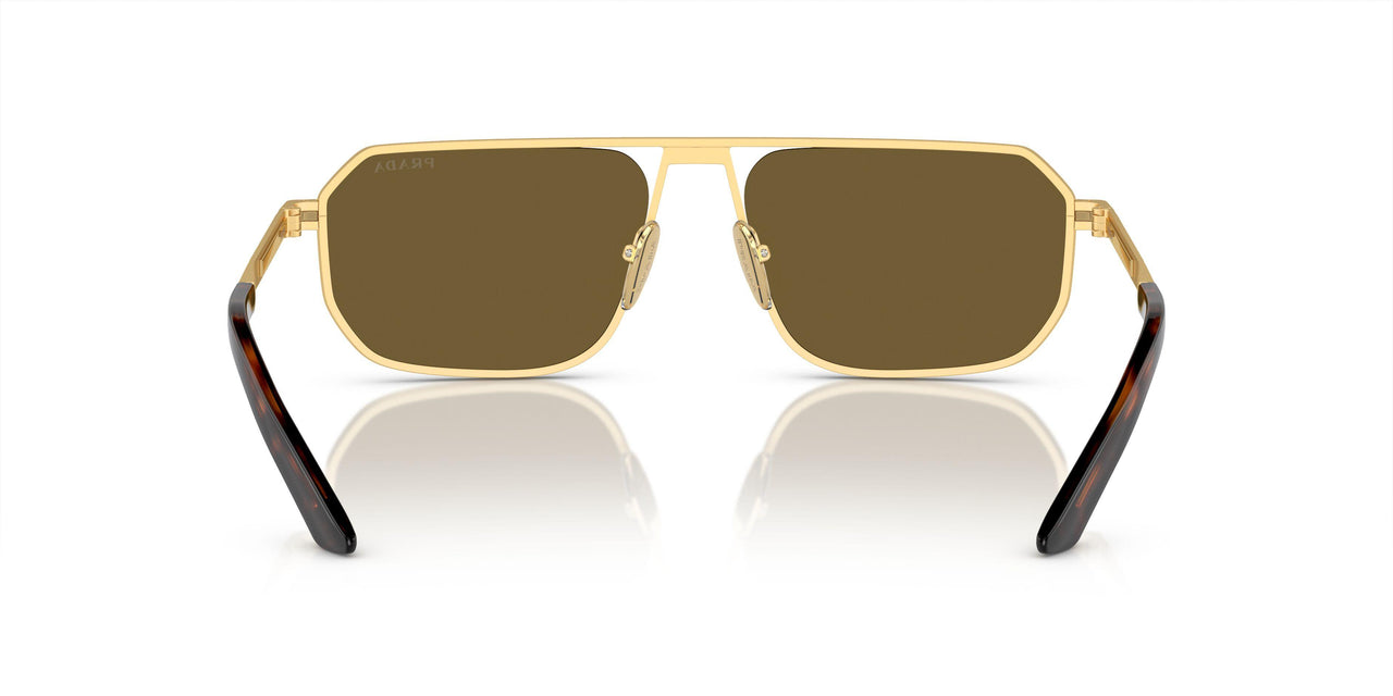 1BK01T - Gold - Dark Brown