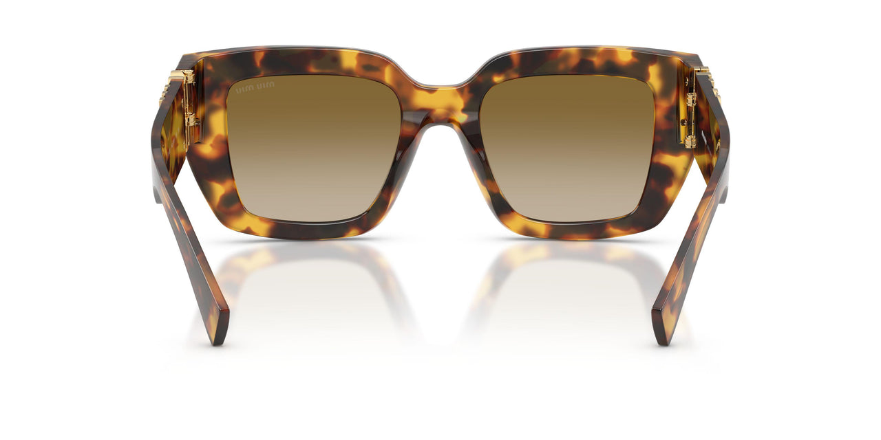 14L20U - Tortoise - Brown Gradient