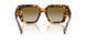 14L20U - Tortoise - Brown Gradient