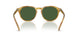 618571 - Tortoise - Bottle Green