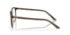 802805 - Tortoise