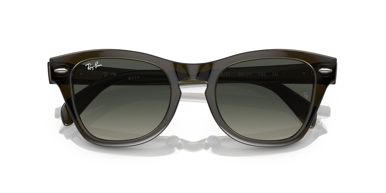 664271 - Green - Grey Gradient