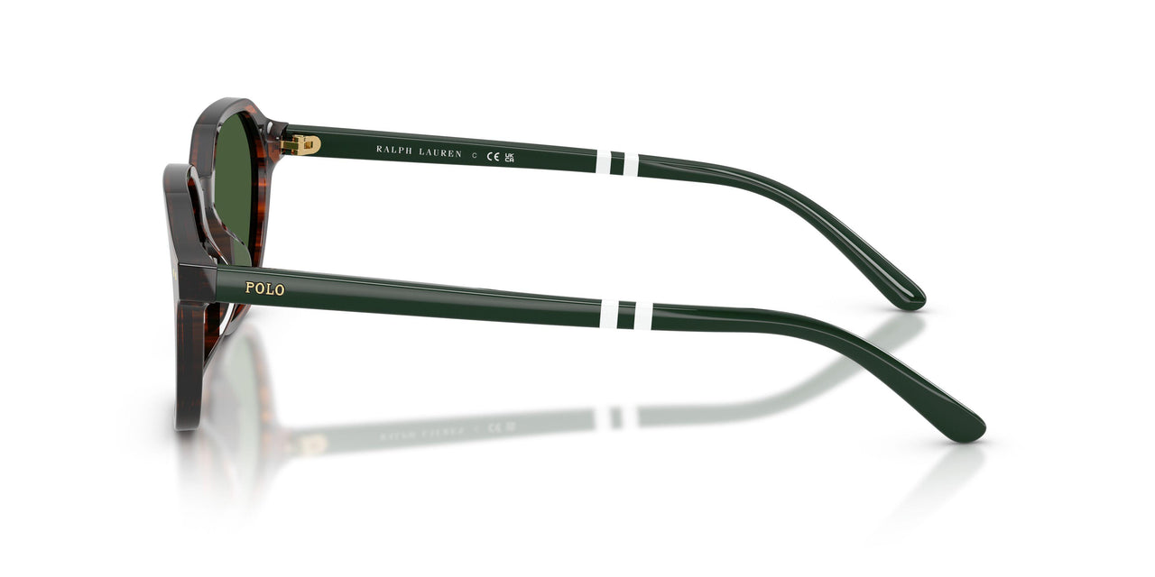 631571 - Brown - Bottle Green