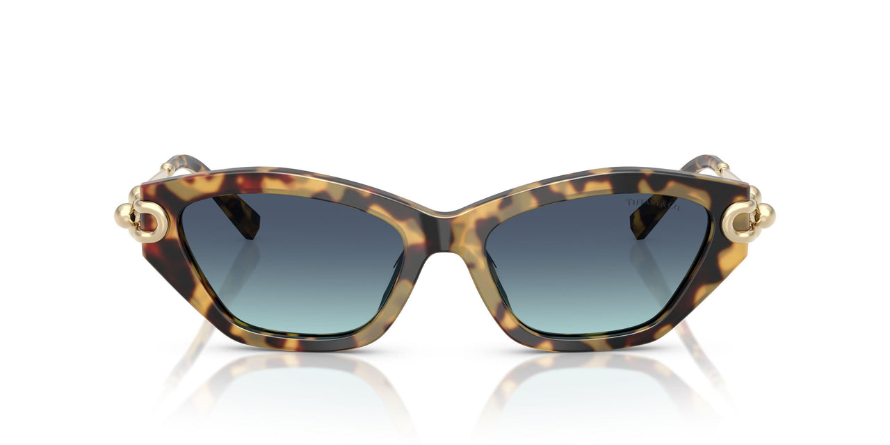 80649S - Tortoise - Azure Gradient Blue