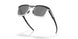 955505 - Black - Prizm Black Polarized