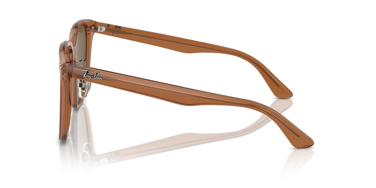 663673 - Brown - Dark Brown